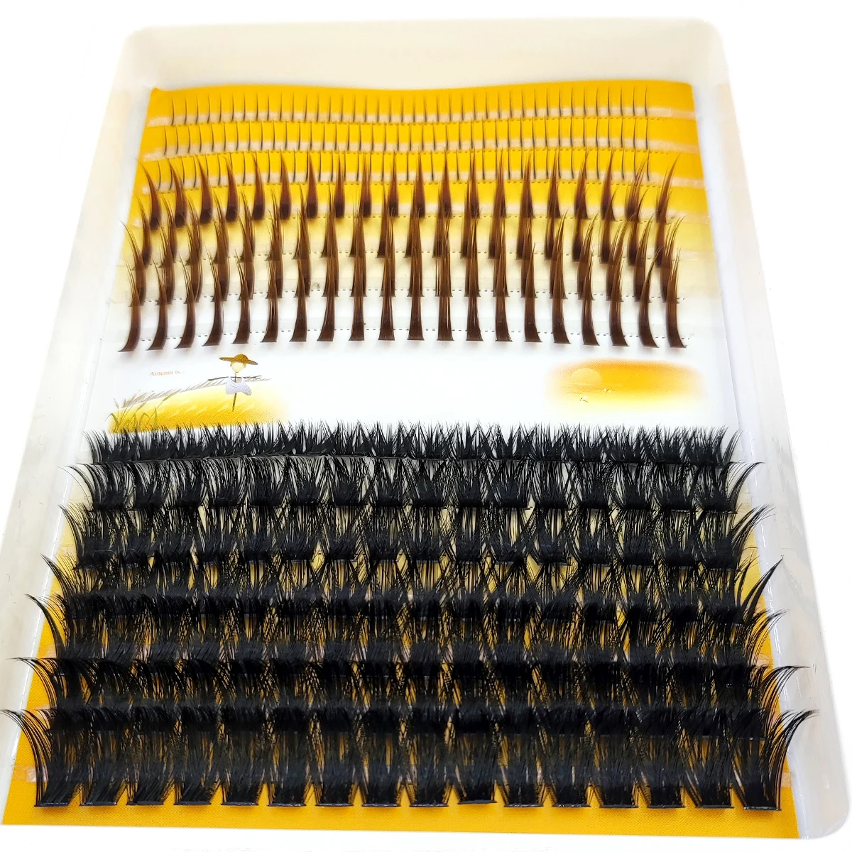 AMSDCN 60D-120D wimpercluster  - Eyelash Extension Doll Eye recensie en prijs