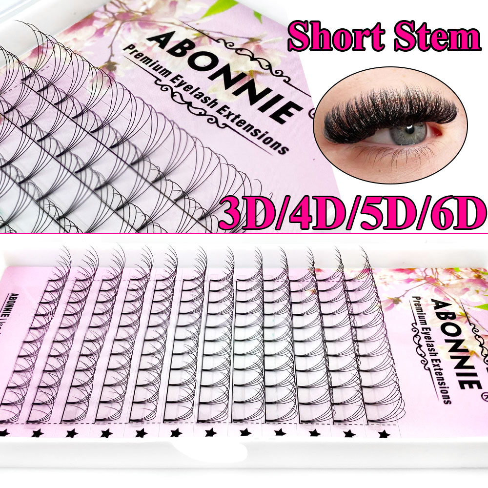 Abonnie 6D Narrow Fan Premade  - Eyelash Extension Russian recensie en prijs